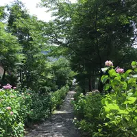 本光寺の写真・動画_image_244551