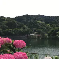 形原温泉あじさいの里の写真・動画_image_244566
