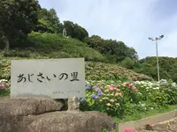 形原温泉あじさいの里の写真・動画_image_244570