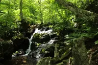 県立自然公園宇津江四十八滝の写真・動画_image_244580