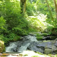 県立自然公園宇津江四十八滝の写真・動画_image_244581