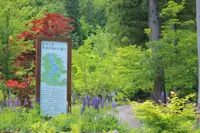 県立自然公園宇津江四十八滝の写真・動画_image_244583