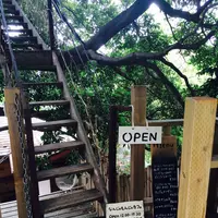 なんじゃもんじゃカフェの写真・動画_image_244632