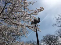 鴻巣市立陸上競技場の写真・動画_image_244642