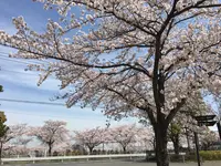 鴻巣市立陸上競技場の写真・動画_image_244643