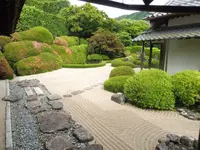 天柱山 頼久寺の写真・動画_image_244837