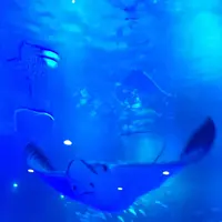 のとじま水族館　の写真・動画_image_245553