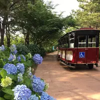 横浜・八景島シーパラダイスの写真・動画_image_245846