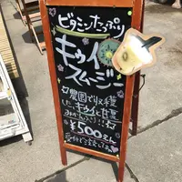 キウイフルーツ・カントリーＪＡＰＡＮの写真・動画_image_246176