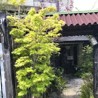みすとらるの写真・動画_image_246184
