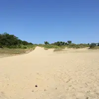 国営木曽三川公園ワイルドネイチャープラザの写真・動画_image_246292