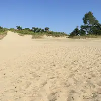 国営木曽三川公園ワイルドネイチャープラザの写真・動画_image_246294