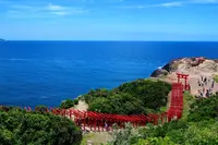 元乃隅神社の写真・動画_image_246793