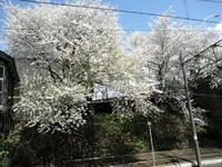 南小樽駅の写真・動画_image_247439