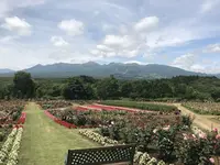 那須フラワーワールドの写真・動画_image_247481