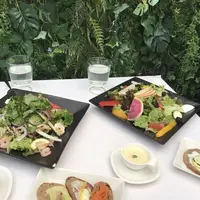 ジンジャーガーデンアオヤマの写真・動画_image_247801