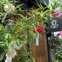 エッセンス カフェ （essence cafe）の写真・動画_image_247949
