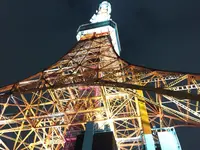 東京タワーの写真・動画_image_248381