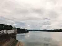 多摩湖の写真・動画_image_248529