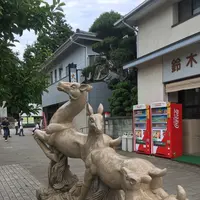 鹿島神宮の写真・動画_image_248553