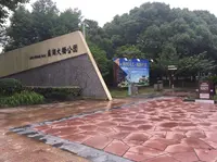 上海の写真・動画_image_248612