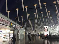 上海の写真・動画_image_248614