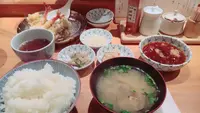 天ぷら飯 金子半之助の写真・動画_image_248664