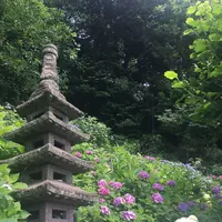 長谷寺の写真・動画_image_248800