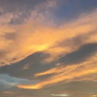 江の島の写真・動画_image_248802