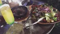 宇都宮アルプスの森 京屋茶舗の写真・動画_image_248815