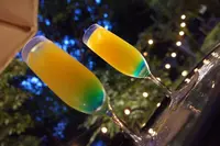 宇都宮アルプスの森 京屋茶舗の写真・動画_image_248816