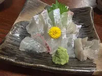 一栄の写真・動画_image_248863