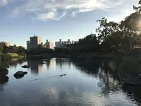 水前寺成趣園の写真・動画_image_249050