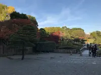 水前寺成趣園の写真・動画_image_249051