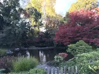 水前寺成趣園の写真・動画_image_249052