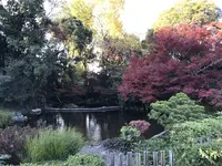 水前寺成趣園の写真・動画_image_249053