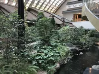 ホテル雅叙園東京（旧 目黒雅叙園）の写真・動画_image_249058