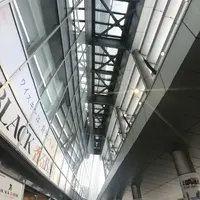 カフェクレープの写真・動画_image_249397