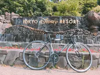 東京ディズニーランドホテルの写真・動画_image_249554