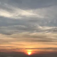 新日本海フェリーの写真・動画_image_249614
