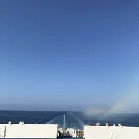 新日本海フェリーの写真・動画_image_249615