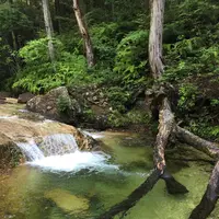 乳岩峡の写真・動画_image_249636