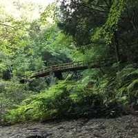 乳岩峡の写真・動画_image_249638