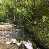 乳岩峡の写真・動画_image_249641