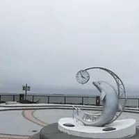 利尻島の写真・動画_image_249910