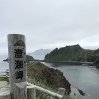 利尻島の写真・動画_image_249913