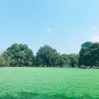 新宿御苑の写真・動画_image_250189