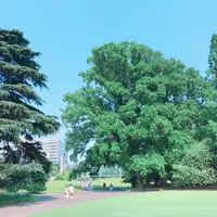 新宿御苑の写真・動画_image_250191