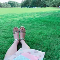 新宿御苑の写真・動画_image_250192