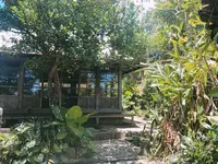 しむじょうの写真・動画_image_251420